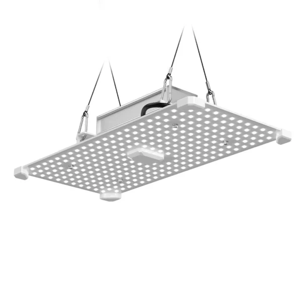 LED Growlampe | LUMii Black Blade 100W, 200W, 400W