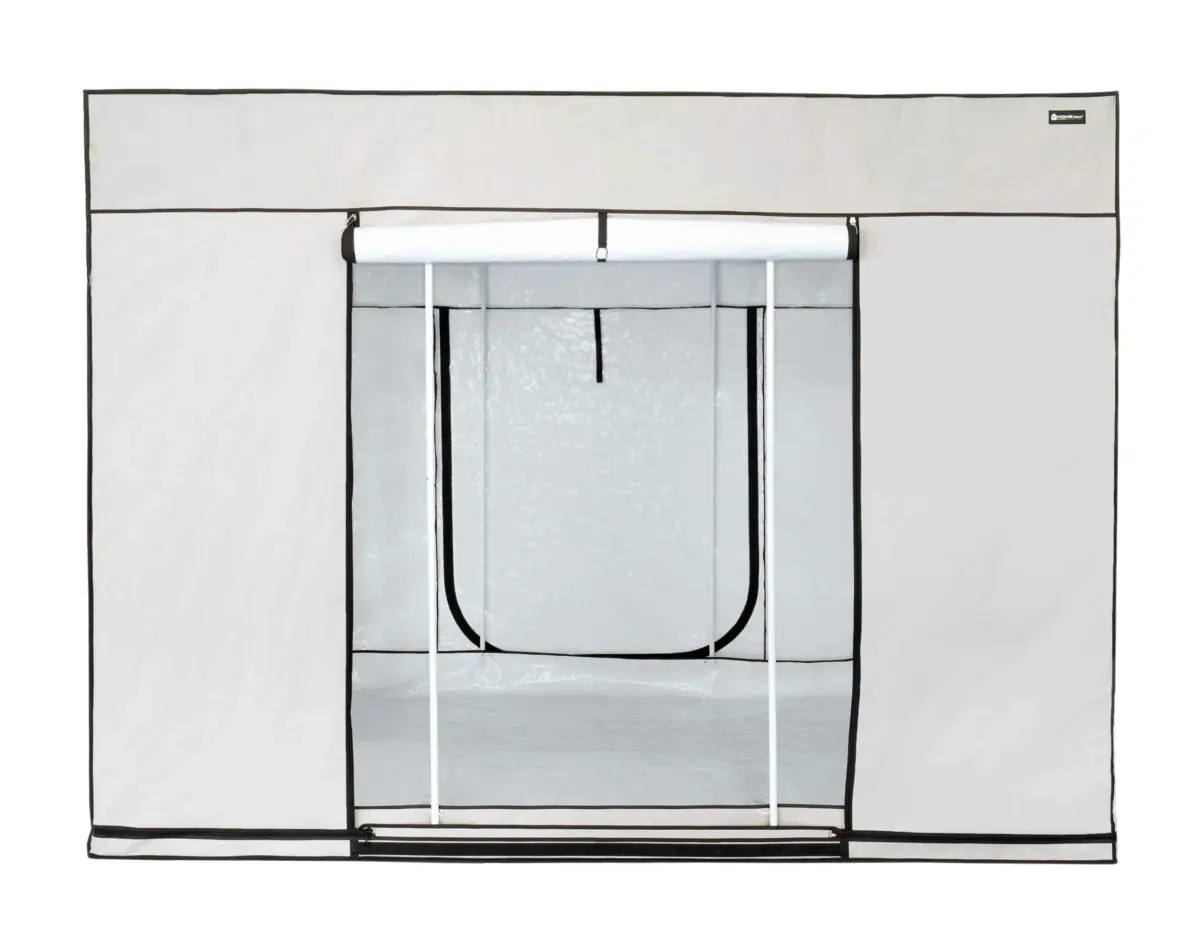 growzelt homebox ambient q 300+