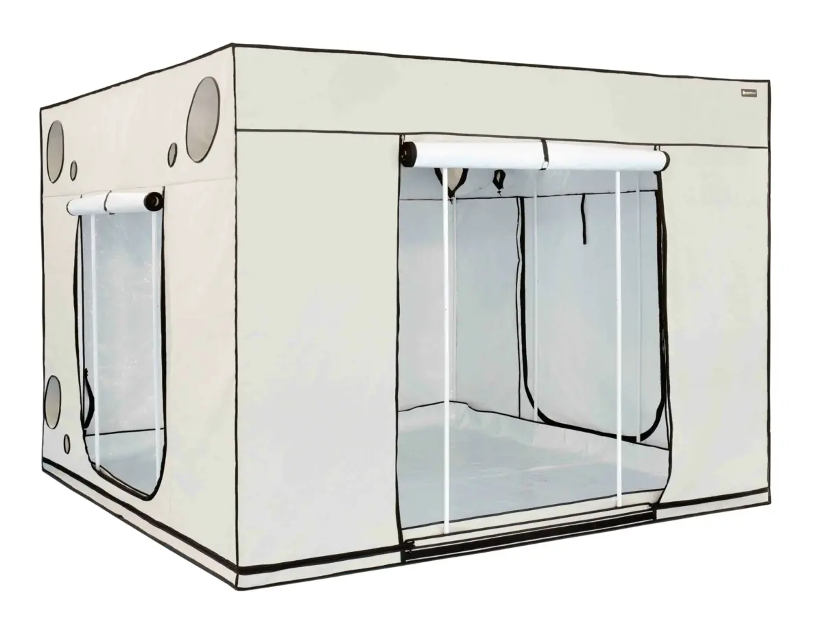 growzelt homebox ambient q 300+ 2