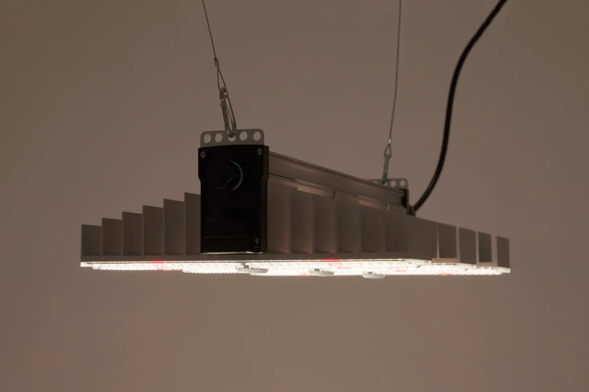 sanlightled growlampe evo 3 60