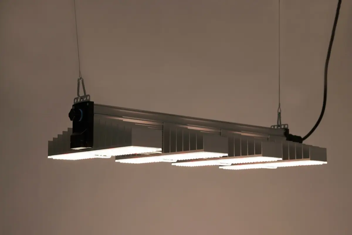 led growlampe | sanlight evo 4 80