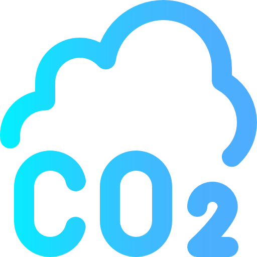 co2 bags (2er set)