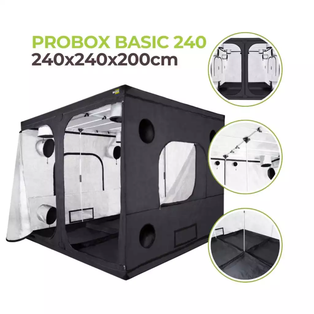 growbox 240x240x200 cm | probox basic 240 | garden highpro