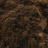 canna bio terra plus 25l