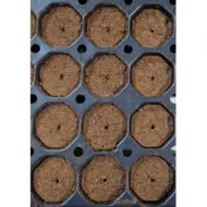 eazy plug stecklingstrays ct104cr rund groß