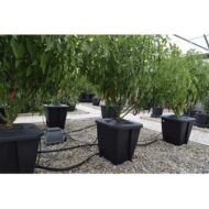 oxypot single dwc system