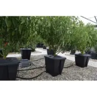 oxypot single dwc system