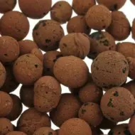 plagron euro pebbles 10l